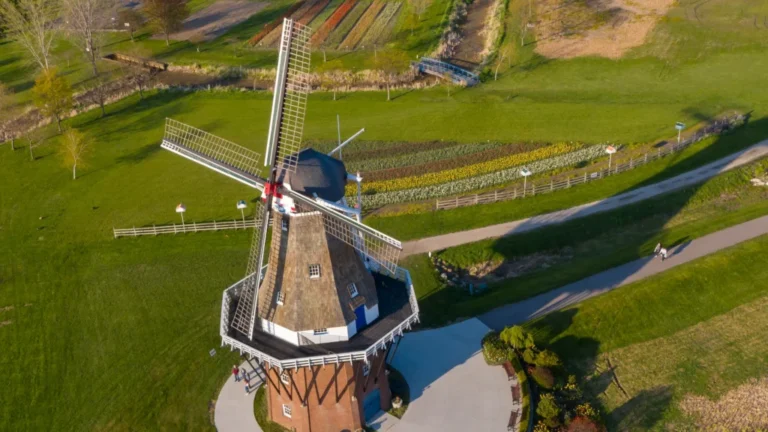 zwaan 1024x576 1 768x432