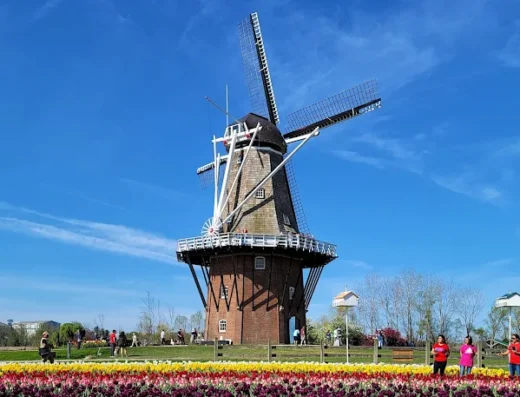 De Zwaan