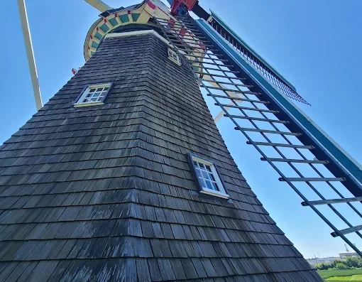 De Zwaan