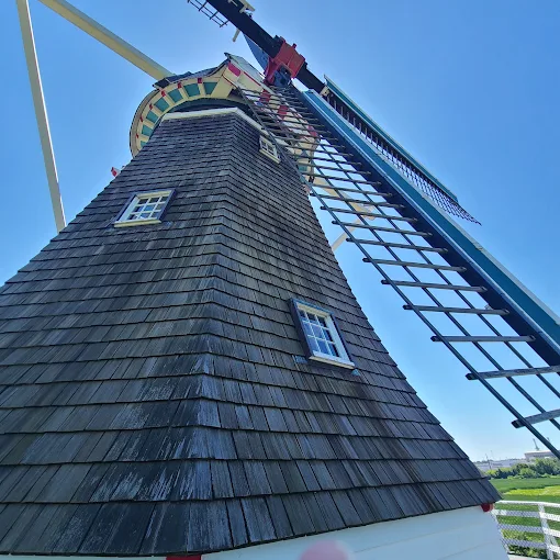 De Zwaan